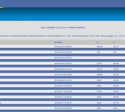 Gestione consumi carburante